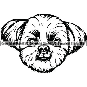 Shih Tzu #11 Dog Race K-9 Toy Group Lap Animal Pet Hound Chiot Pedigree Hound Logo. SVG. PNG Digital Clipart Vector Cricut Cut Cutting File