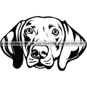 May include: Black and white illustration of a dog's head. The dog has large, round ears and a long, pointed nose. The dog's eyes are wide open and staring directly at the viewer.