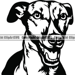 Greyhound #15 Happy Paws Dog Race Pedigree Canine Purebred K-9 Pet Italian Animal Whippet Logo . SVG. PNG Vecteur Clipart Cricut Coupe Coupe