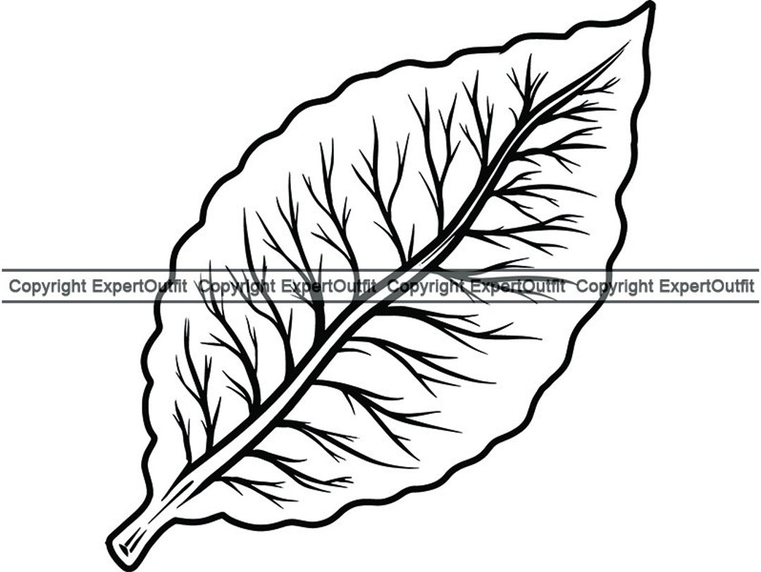 Tobacco Leaf #4 Smoker Cigar Cigarette Smoking Smoke Burning Smoke Blunt  Ash Ashes Bar Label Logo.svg .PNG Clipart Vector Cricut Cut Cutting