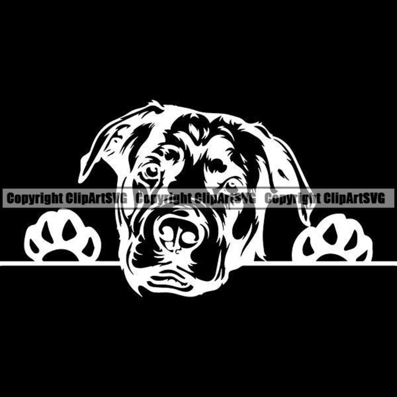 Rottweiler 16 Peeking Dog Breed Animal Pet Guard Security Etsy