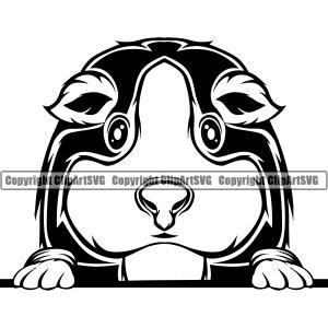 May include: Black and white illustration of a guinea pig peeking over a surface. The guinea pig has large eyes and a small nose.