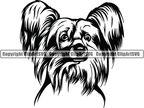 Buy Chinese Crested #11 Champion Hairless Dog Breed K-9 Animal Pet