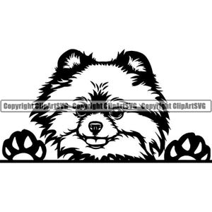 Pomeranian #44 Peeking Dog Breed Pedigree Canine Purebred K-9 Pet Hound Animal Spitz Logo .SVG .PNG Clipart Vector Cricut Cut Cutting File