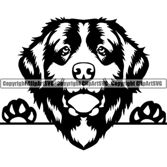 Download Newfoundland 8 Peeking Smiling Dog Breed Puppy Pedigree Etsy PSD Mockup Templates