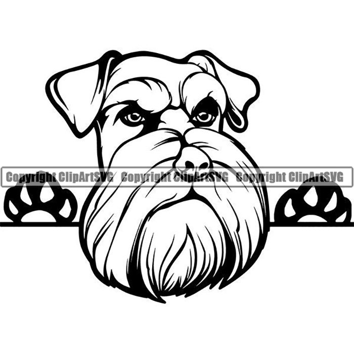 create logo adobe illustrator