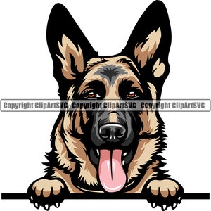 May include: A German Shepherd dog with brown and black fur peeks over a surface with its tongue sticking out. The dog has a black nose and brown eyes.