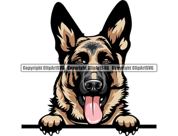 German Shepherd Peeking Peek-a-boo Dog Breed Head Face Happy Puppy