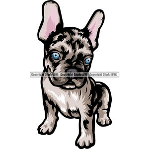 Buldog francuski Rasa psa Siedzenie Siedzenie Szczeniak rodowodowy Szczeniak K-9 Sztuka Projektowanie zwierząt domowych Element Logo SVG PNG JPG Clipart Wektor Cricut Cięcie Plik do cięcia