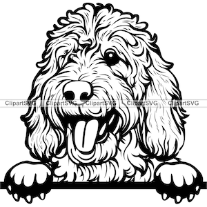 Pyredoodle Sorrindo Espiando Cachorro Cachorrinho Fofo Rosto Canino Animal de Estimação Grandes Pirineus Poodle Brinquedo Retrato Pata Desenho Arte Logotipo Tatuagem Design SVG PNG Cut