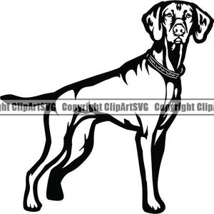 Vizsla #16 Hunderasse Reinrassige Hunde Reinrassige K-9 Haustier Hund Weimaraner Welpe Logo.SVG .PNG Clipart Vektor Cricut Cut Cutting