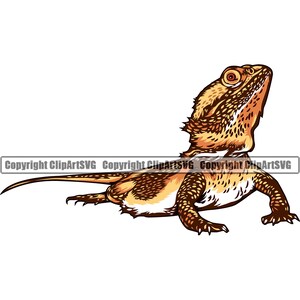 May include: A detailed illustration of a bearded dragon lizard in shades of brown, tan, and white. The reptile is depicted in a side profile, with its head raised and looking upwards. The image has a clean, vector-style design.