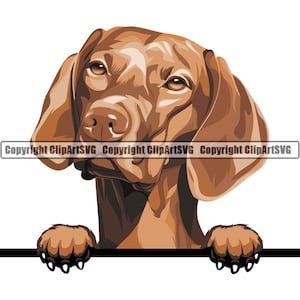 Vizsla Hunderasse Spähen Peek-A-Boo Welpe Tier Haustier glücklich Stammbaum Reinrassiger Welpe Kunst Kunstwerk Farbe Logo SVG PNG Clipart Vektor Schneiden Schneiden