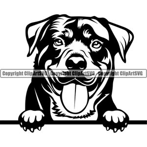 Rottweiler Dog Breed Peeking Peek-A-Boo Pet Canine Pedigree Puppy Purebred Hound Rotty K9 Art Design Logo SVG PNG Clipart Vector Cut Cutting