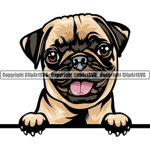 Pug Dog Breed Head Face Happy Puppy Animal Pet Pedigree Purebred Color Yorkshire Terrier Yorkie Art Artwork Logo JPG PNG SVG Clipart Vector