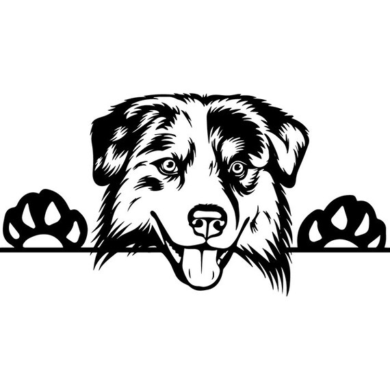 Download Australian Shepherd 6 Peeking Aussie Dog Breed K-9 Animal Pet | Etsy