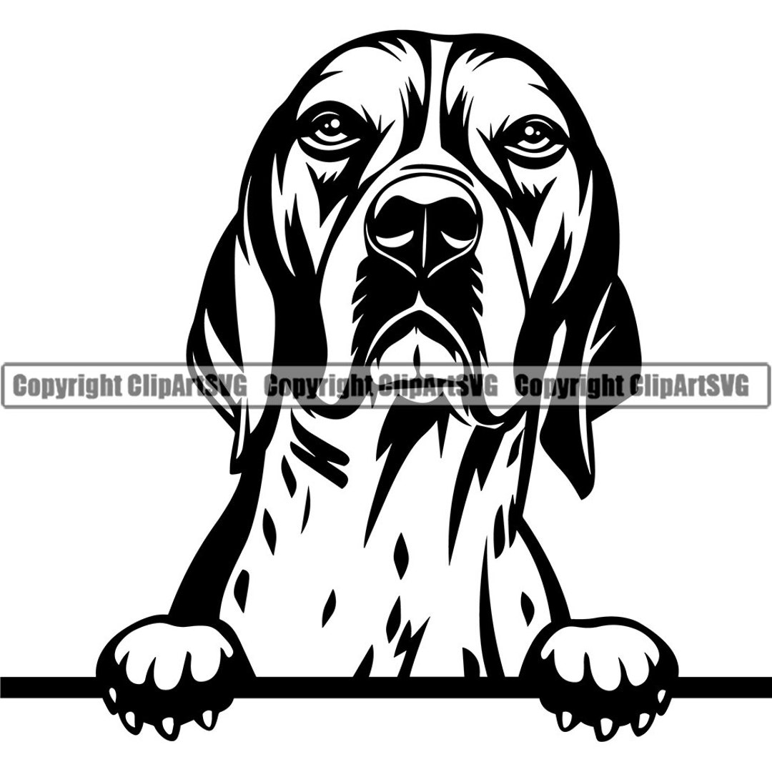English Pointer Dog Breed Peeking Peekaboo Puppy Pup Pet Art Etsy