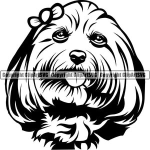 Chien maltais race visage chiot tête chiot animal de compagnie Yorkie Yorkshire Terrier Lhassa Apso Shih Tzu Bichon frisé bichon havanais Logo SVG Clipart coupe coupe