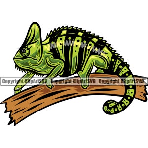 May include: A green and black chameleon with a long tail is perched on a brown branch. The chameleon has a large, pointed head and a long, slender body.