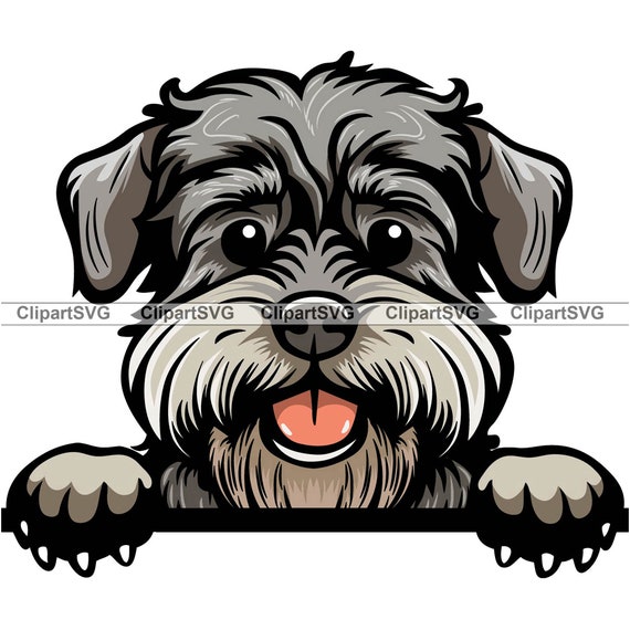 Schnoodle Smiling Peeking Dog Puppy Head Canine Pet Scottish