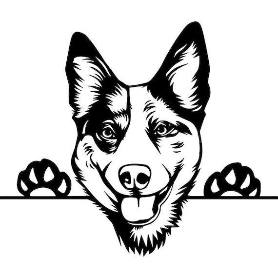 Image Result For Download The Visa