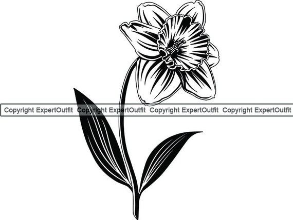 Download Nature Flower Narcissus Floral Bloom Pattern Plant Leaf Leaves Etsy