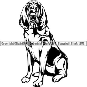 Bloodhound Cachorro Sentado Raça Happy Paw Pedigree Filhote De Cachorro Pet Arte Arte K9 Beagle Basset Hound Logo SVG PNG Clipart Corte Corte