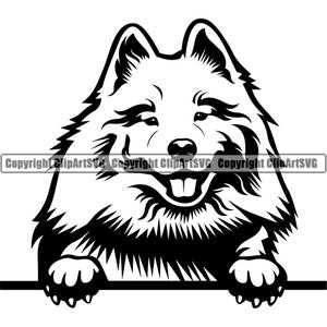 Samojeed hond gluren Peek-A-Boo ras Happy Paw Puppy Pup Pet Shop Canine Spitz Pommeren Keeshond Logo SVG PNG Clipart Vector knippen snijden