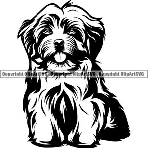 Chien bichon havanais assis assis race sourire heureux patte chiot chiot Pet K-9 maltais Shih Tzu Bichon frisé Lhassa Apso Logo SVG PNG Clipart coupe coupe