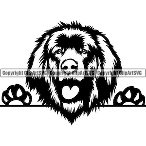 Leonberger #5 Peeking Dog Happy Breed K-9 Animal Pet Puppy Paws Canine Pedigree Logo .SVG .PNG Digital Clipart Vector Cricut Cut Cutting