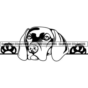 Vizsla #2 Peeking Paws Raza de perro Pedigrí Canino Pura raza K-9 Perro de mascota Animal Weimaraner Logo .SVG .PNG Clipart Vector Cricut Corte Corte