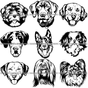 BUNDEL hondenrassen hoofd gezicht Puppy Pup Canine stamboom rasechte bloedlijn dier huisdier Logo ontwerp. SVG. PNG Clipart Vector Cricut knippen snijden