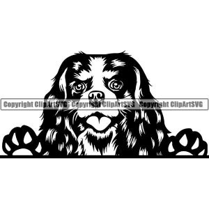 Cavalier King Charles #21 Peeking Dog Raça Animal Pet Pedigree Logo Cocker Spaniel Setter Logo .SVG .PNG Clipart Vetor Cricut Corte Corte