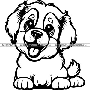 Bernhardiner Lächelnder Hund niedlicher Welpe Gesicht Hund Haustier Neufundland Berner Berg Heilige Pfote tibetischen Mastiff Art Logo Tattoo Design SVG PNG Cut