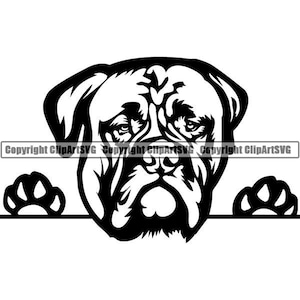 Bull Mastiff #3 gluren hond raszuivere Puppy stamboom huisdier ras Dogue de Bordeaux Bulldog Logo. SVG. PNG Clipart Vector Cricut knippen snijden