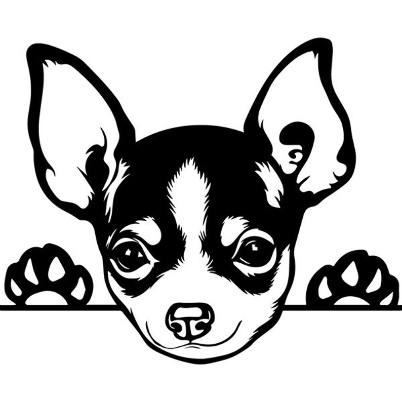 Download Chihuahua 13 Peeking Dog Puppy Breed K-9 Animal Pet Hound Lap | Etsy