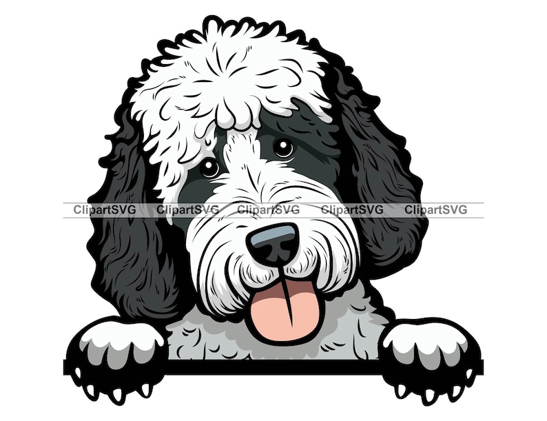 Sheepadoodle Smiling Peeking Dog Cute Puppy Head Canine Pet Old English ...