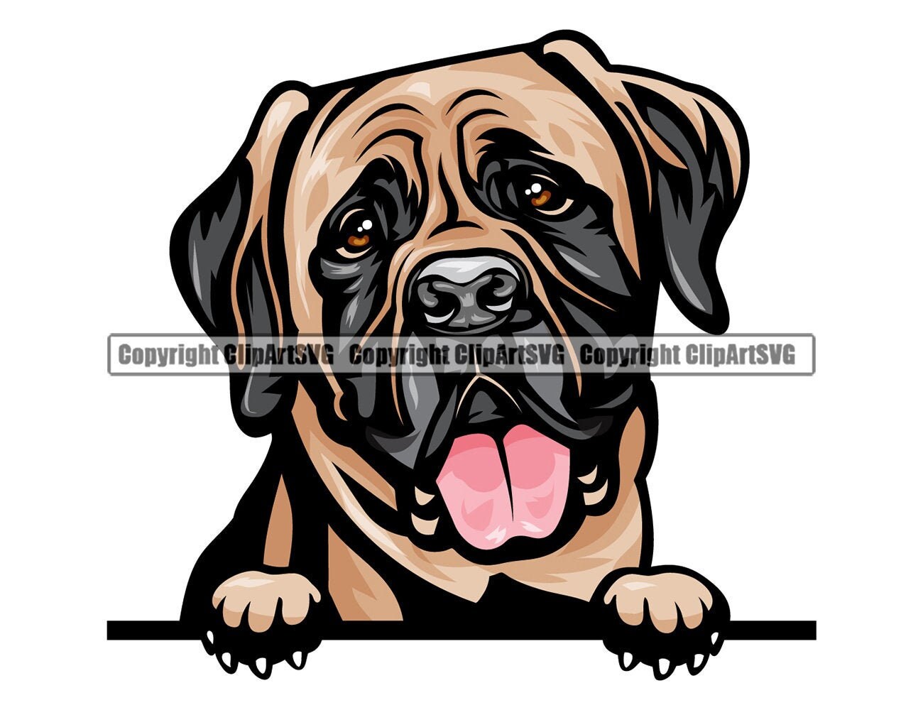 Mastiff Dog Peeking Peek-a-boo Breed Happy Puppy Animal Pet Color