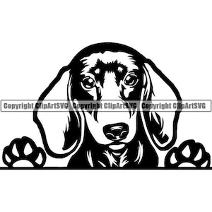 May include: A black and white graphic of a dachshund dog's head and paws. The dog's face is centered, with large, expressive eyes and floppy ears. The paws are at the bottom, giving the impression the dog is peeking over an edge.