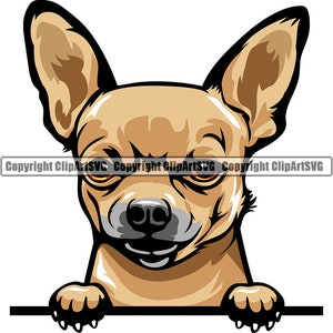 Chihuahua hondenras gluren Peek-A-Boo gelukkig puppy huisdier lang kort haar kleur artwork Papillon Yorkshire Yorkie logo PNG SVG clipart vector