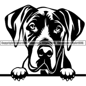 May include: Black and white illustration of a Bloodhound dog peeking over a surface with its paws visible. The dog has a serious expression and its ears are floppy.