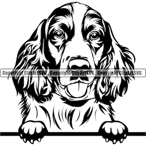 English Springer Spaniel Dog Peeking Peek-A-Boo Breed Paw Puppy Pup Pet Cocker Welsh Irish Setter Logo SVG PNG Clipart Vector Cut Cutting