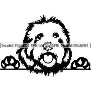 Goldendoodle #7 Glücklicher Hund Lächelnd Rasse Tier Haustier Welpe Golden Retriever Pudel Stammbaum Logo .SVG .PNG Clipart Vektor Cricut Cut Schneiden Schneiden
