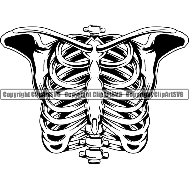Skull Skeleton Chest Rib Cage Anatomy Evil Kill Killer Tattoo Human ...