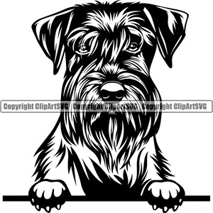Schnauzer hondenras gluren Peek-A-Boo glimlach Paw Puppy Pup Pet Shop Canine K9 miniatuur gigantische Design Logo SVG PNG Clipart Vector knippen snijden