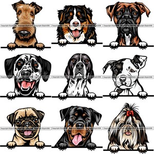 BÜNDEL Hunderassen Spähen Peek-A-Boo Welpe Welpe Hunde Stammbaum Reinrassige Blutlinie Haustier Logo Design SVG PNG Clipart Vektor Cricut Schnitt Schneiden