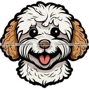 Poochon Cachorro Sorridente Cabeça de Cachorro Fofo Canino Animal de Estimação Bichon Frise Brinquedo Poodle Retrato Pata Impressão Desenho Desenho Arte Logotipo Tatuagem Design SVG PNG Cut
