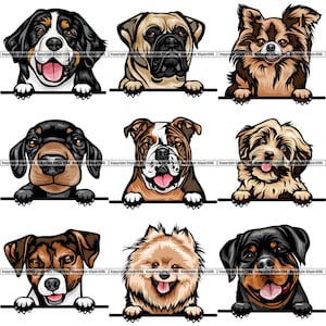 BÜNDEL Hunderassen Spähen Peek-A-Boo Welpe Welpe Hunde Stammbaum Reinrassige Blutlinie Haustier Logo Design SVG PNG Clipart Vektor Cricut Schnitt Schneiden