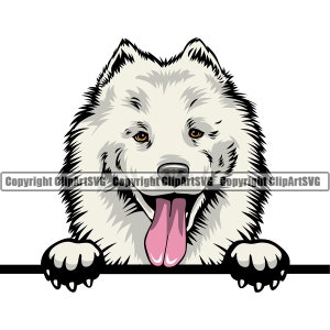 Samojeed hond gluren Peek-A-Boo blij gezicht glimlach Paw Puppy Pup Pet Shop Canine K9 Spitz Keeshond Pommeren Logo SVG PNG Clipart Vector knippen