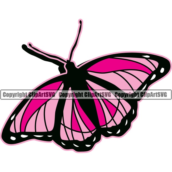 Butterfly Butterflies Colorful Animal Insect Moth Growth Grow Change Cocoon Bug Design Logo SVG PNG Clipart Cricut Vector Cut Cutting File